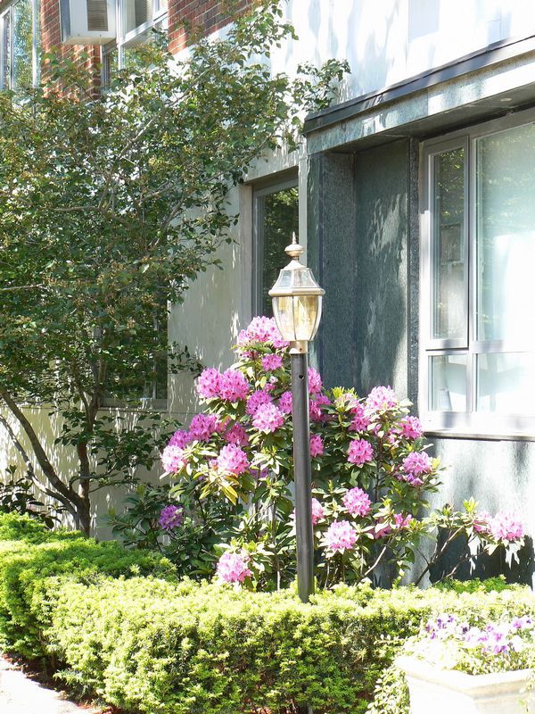 park slope: park slope 7